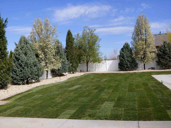 Buhler Landscape