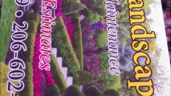 Gomez Landscaping & Clean up