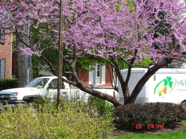Sweeney's Custom Landscaping