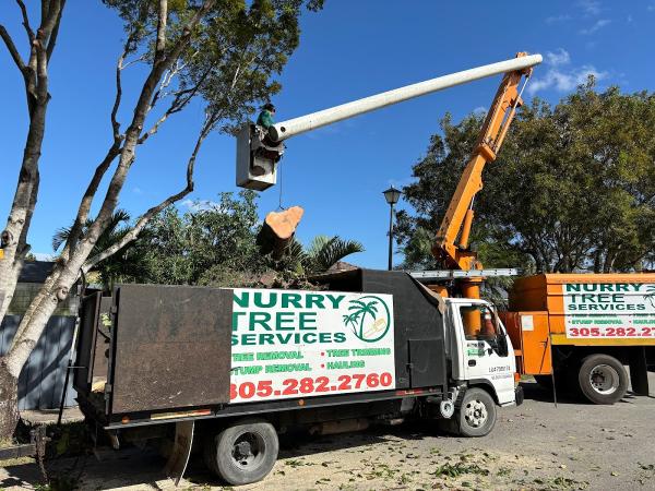 Nurry Tree Services LLC