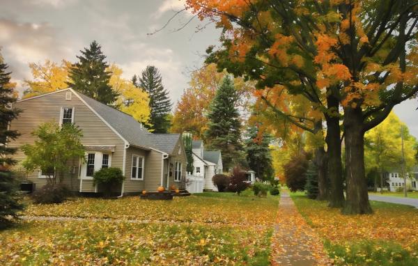 Northeast Landscape Contractors