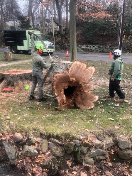 Arrow Tree Service