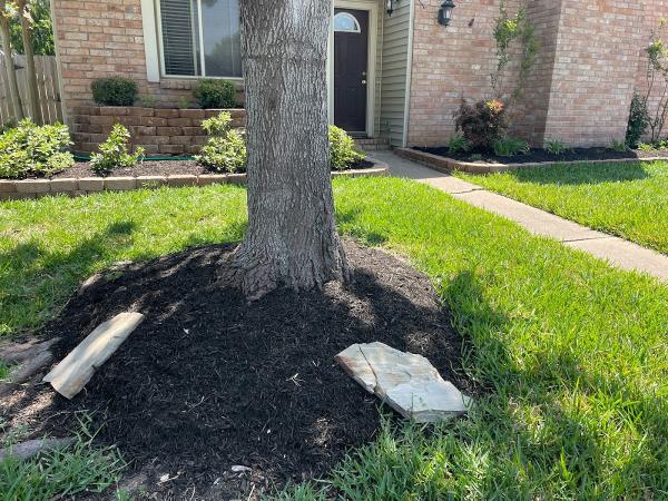 CEA Landscaping and Maintenance