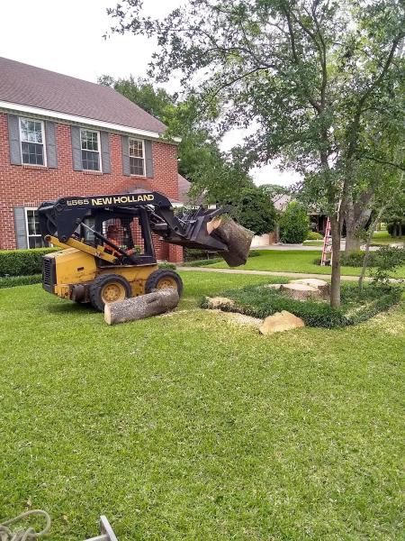 Whitneys Tree Care