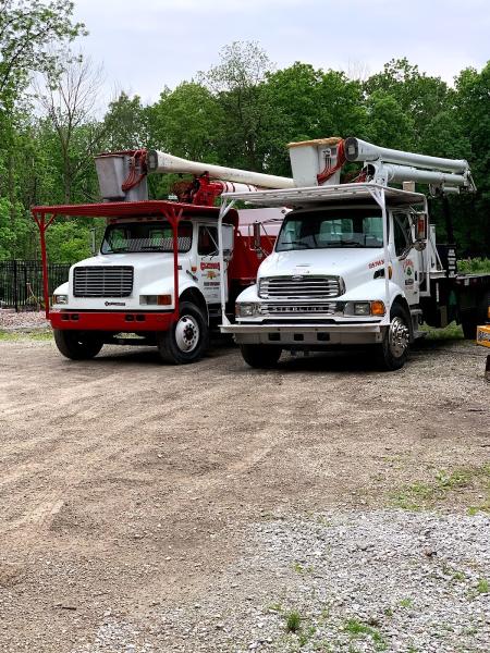 Clemons Tree Service