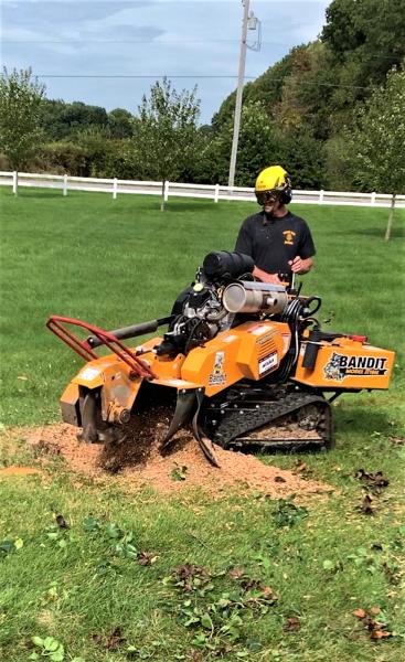 Clemons Tree Service