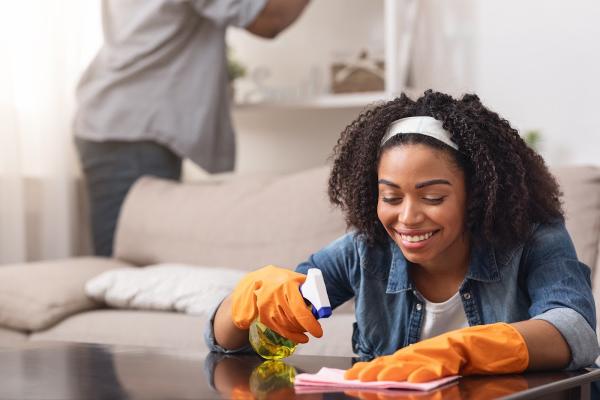 Pro Home Cleans