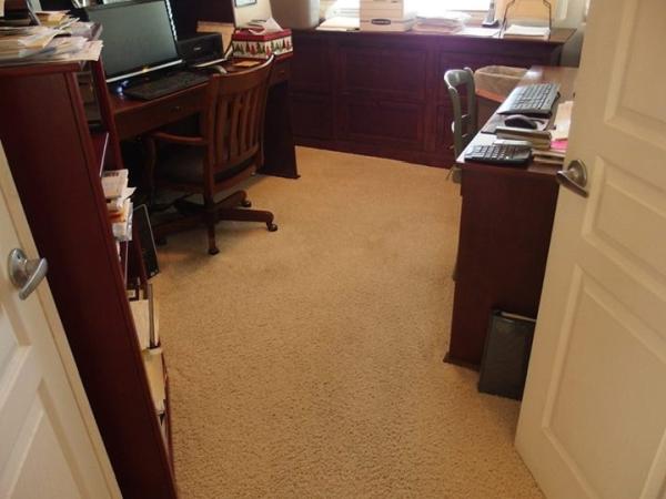 Wizard Carpet & Rug Cleaning