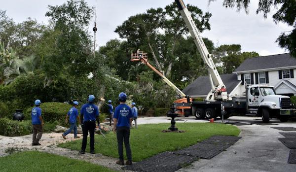 Kevin's Tree Service