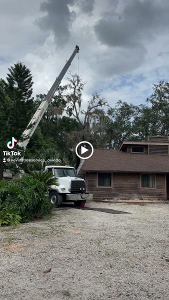 Kevin's Tree Service