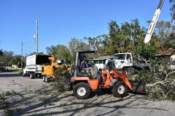 Kevin's Tree Service