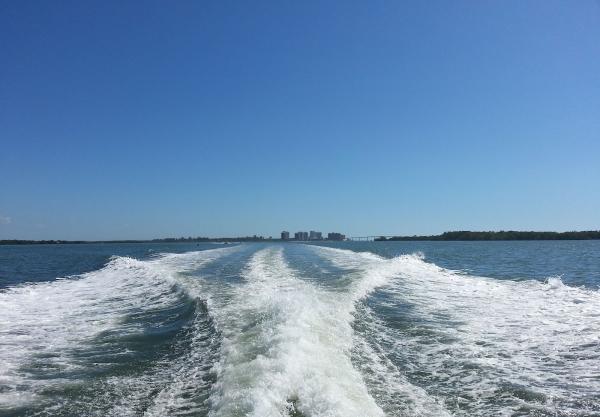Swfl Real Estate Services