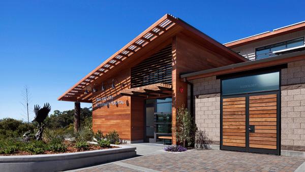 Noll & Tam Architects