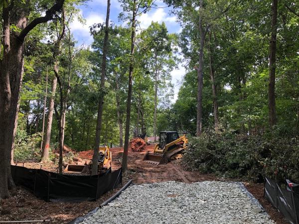 Fort Mill Tree Service