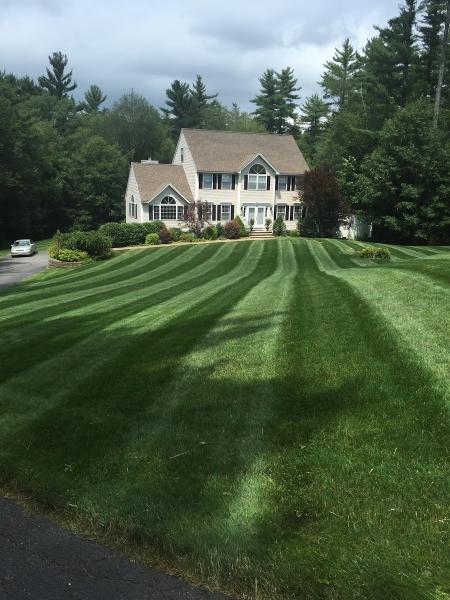 Grass Gobblers Lawn Care & Landscaping