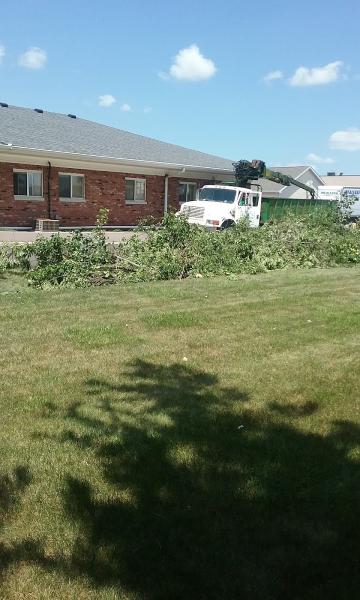 S & M Tree Service