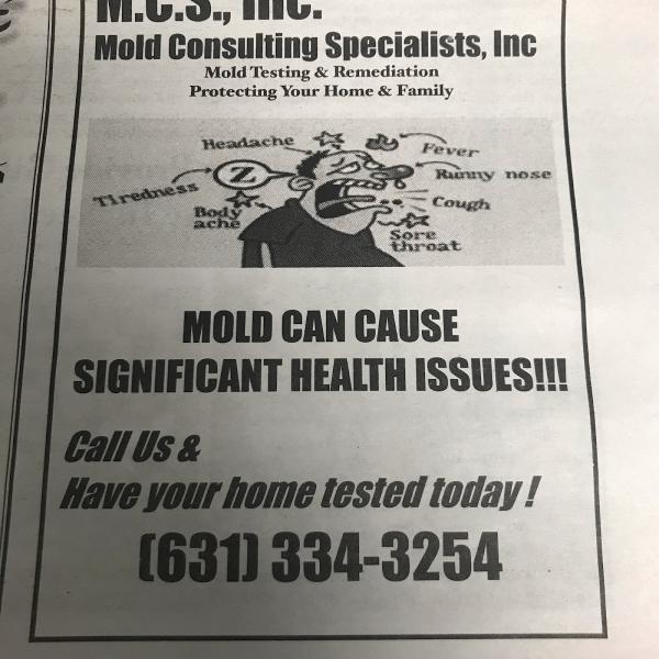 Mold Consulting Specialists