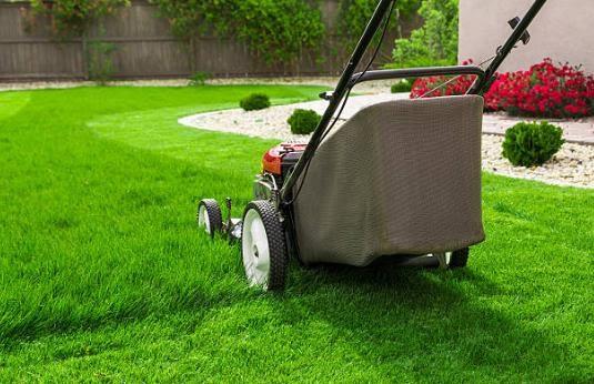 Abe's Yard Clean-up