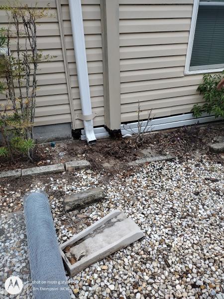 World Class Wildlife Removal & Rodent Remediation