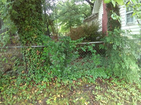 Paper Chaser Landscaping LLC
