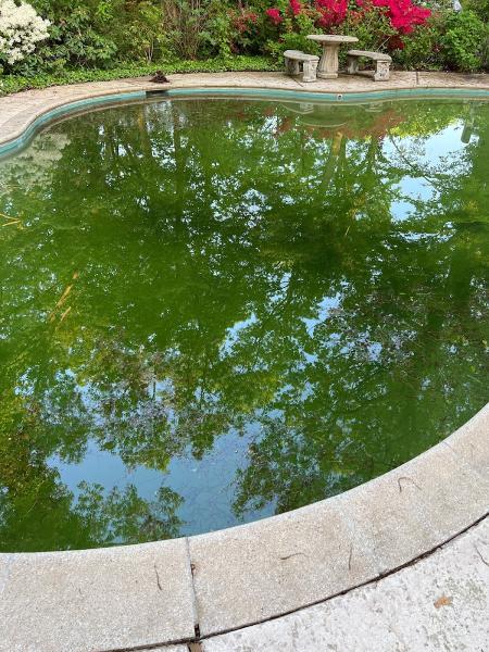 Swim Tech Pool Services