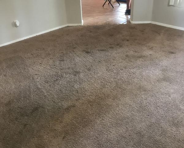 Dr. Chem-Dry Carpet & Tile Cleaning