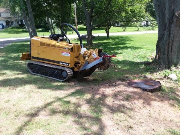 All Around Landscape & Tree Service