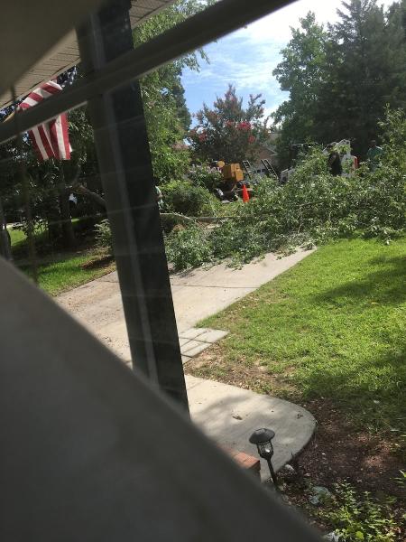 Tree Guys With Ties