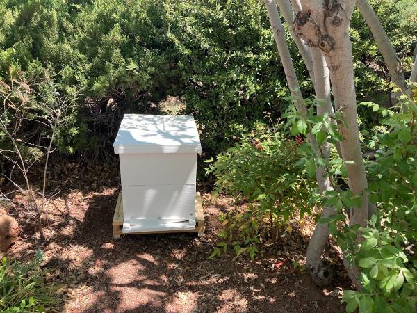 Bear Canyon Honey Co & Bee Services