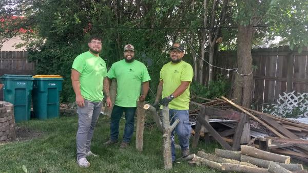 The Regions Tree Service