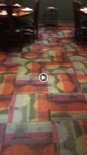 Green Carpet Cleaning