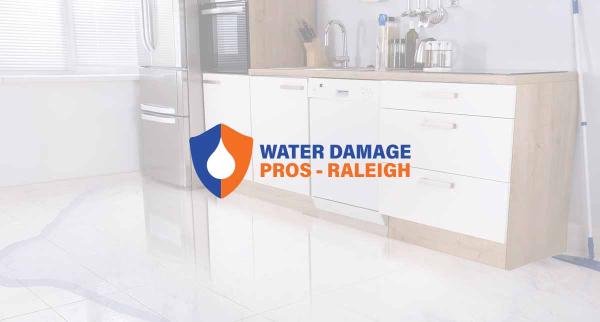 The Water Damage Pros Raleigh NC