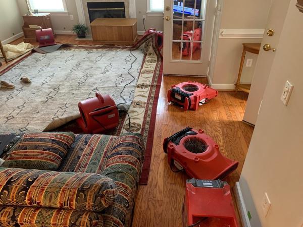 The Water Damage Pros Raleigh NC