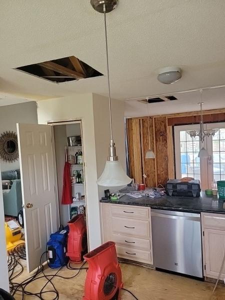 The Water Damage Pros Raleigh NC