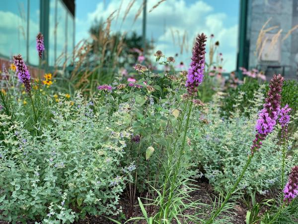 Inspiredgardendesign