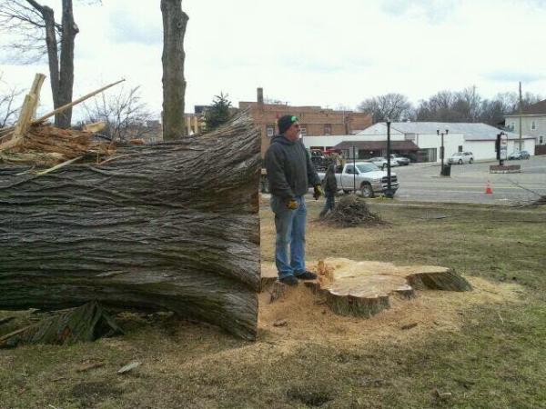 Mark's Tree Services LLC