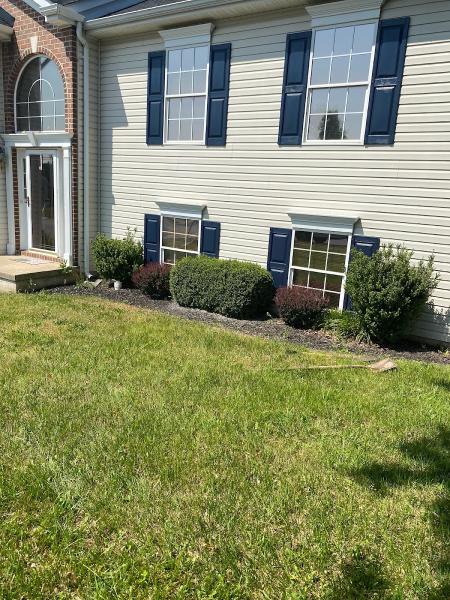 Chib Brothers Lawn