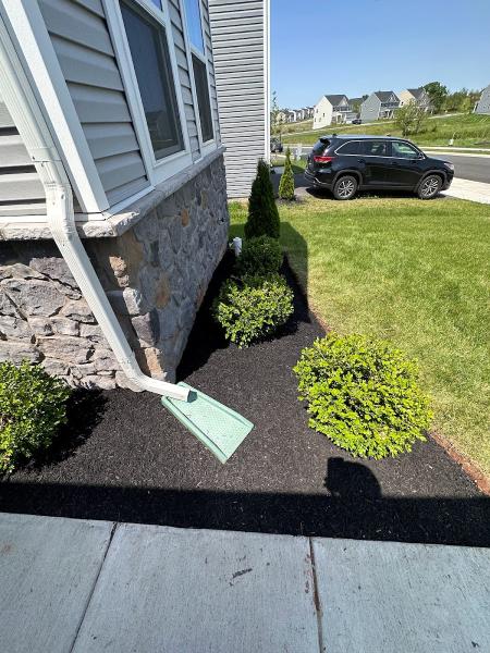 Chib Brothers Lawn