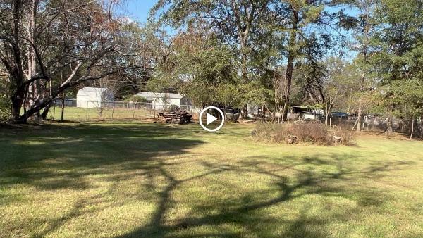Softscapes Lawns