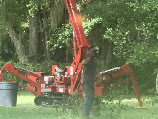 Above and Beyond Tree Care