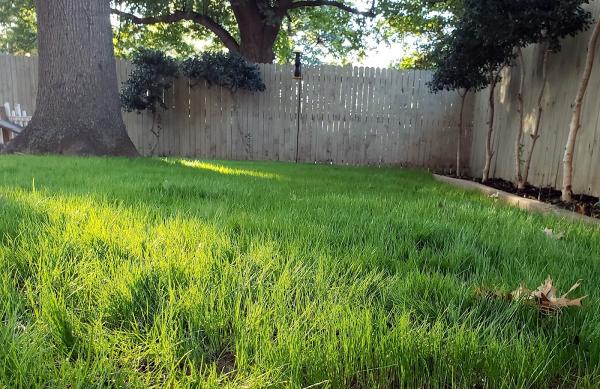 Clean Air Lawn Care