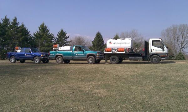Premium Tree Protection