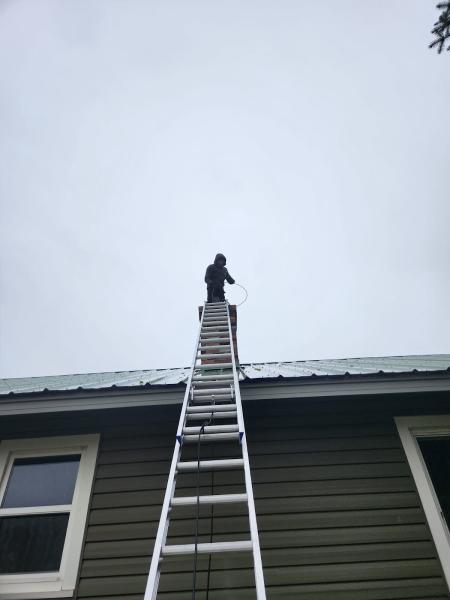 Chimney Professionals