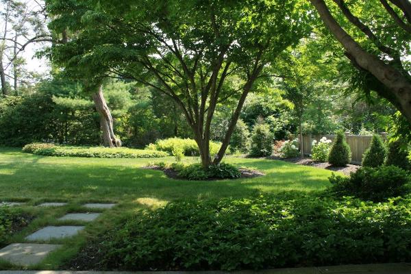Penguin Environmental Design _ Landscape Architect