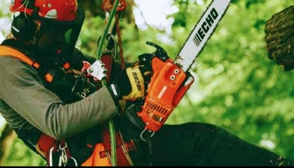 Earth Tenders Tree Care LLC