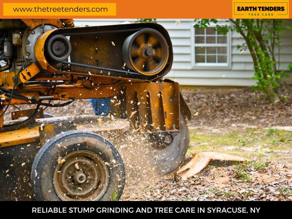 Earth Tenders Tree Care LLC