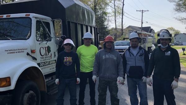 C&B Landscaping & Tree Service