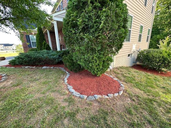 C&B Landscaping & Tree Service