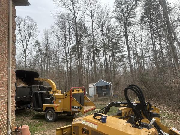 C&B Landscaping & Tree Service