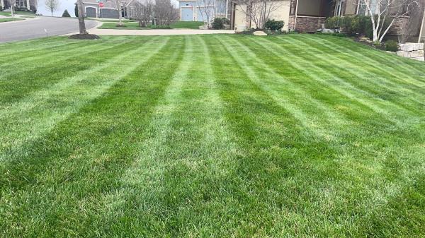 Milner Lawn & Leaf LLC